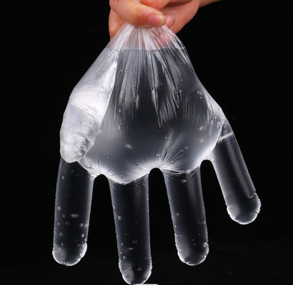 I guanti di plastica eliminabili trasparenti del LDPE impermeabilizzano per il ristorante