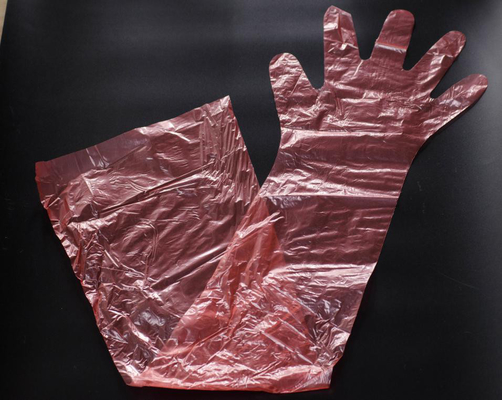 Guanti di plastica eliminabili su misura, materiale lungo del LDPE dei guanti veterinari